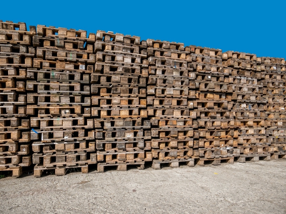 24387f59-286e-4cef-a065-39fb0c643ae2-1770245316