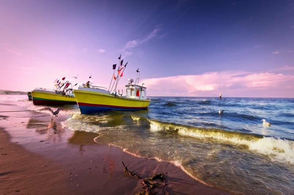 70bb54fd-cab5-434b-a4bb-11e9116607ab-1765853616