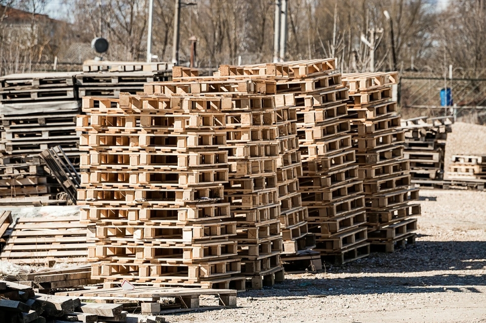 dbcbae98-523a-4f93-8575-3d846d853c54-1770246056