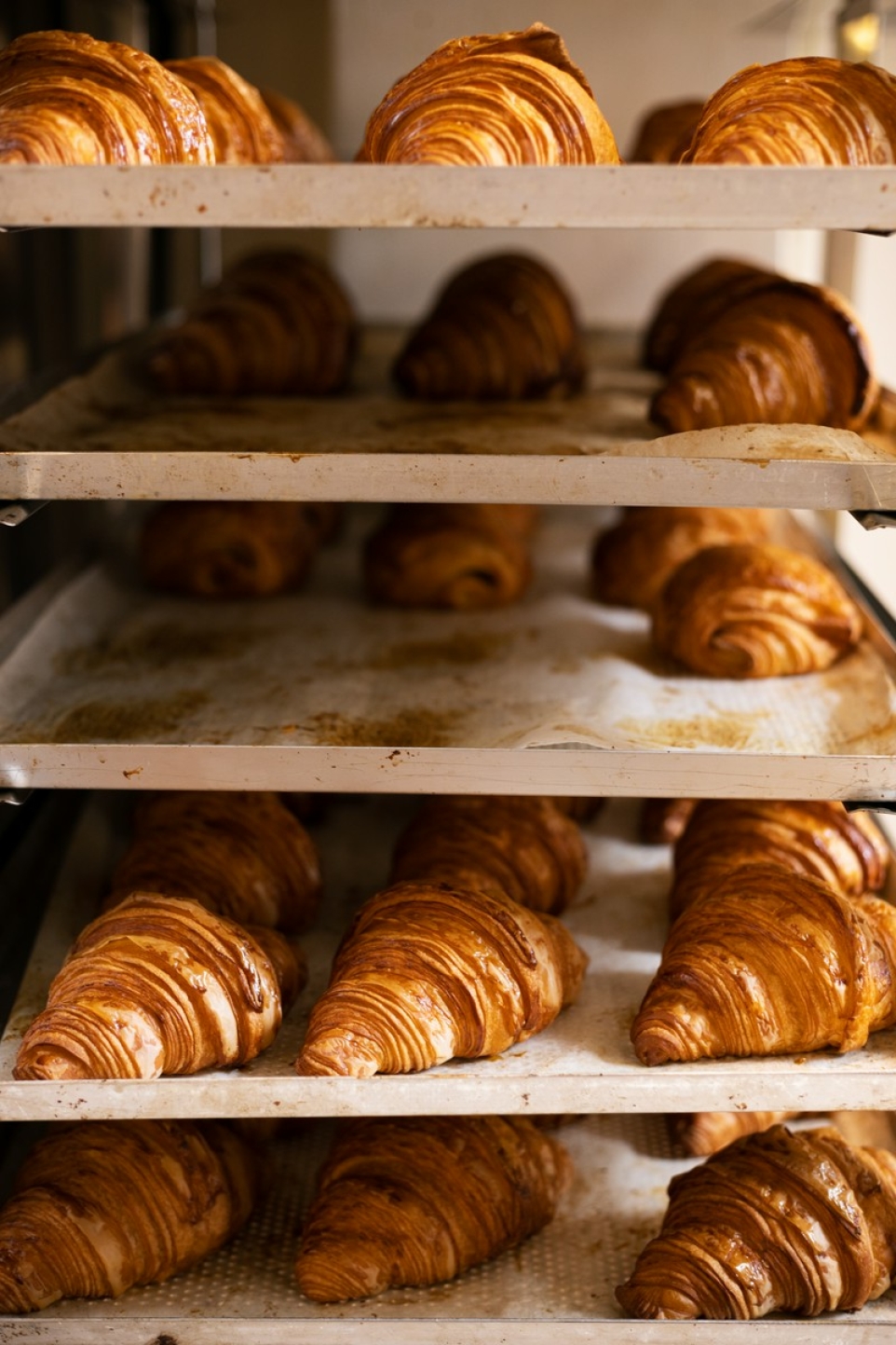 33ce85c7-9239-455f-bd4b-2a952898404a-1770206266