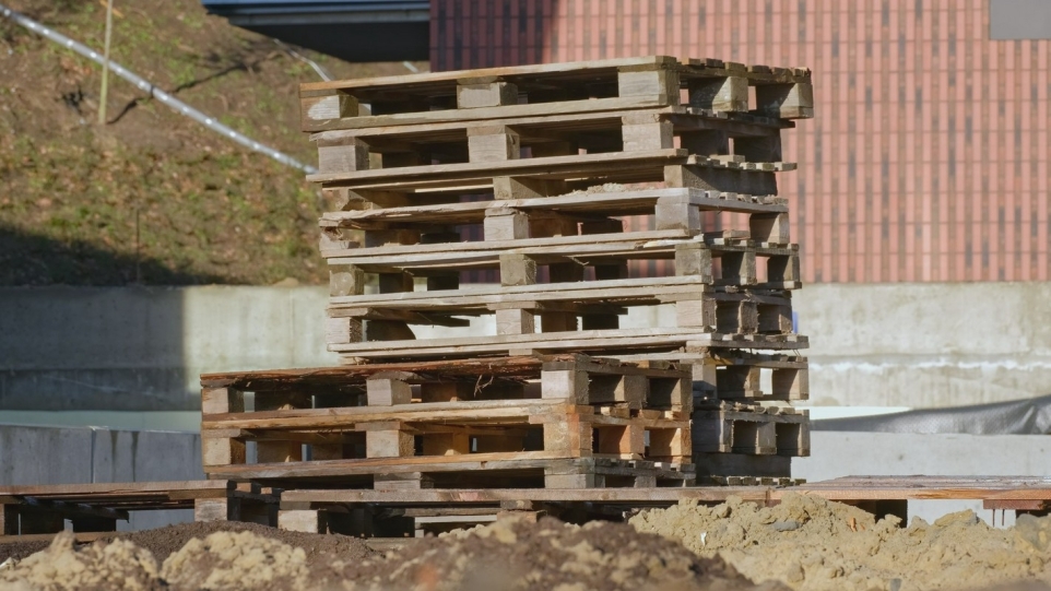 e89133bc-7b9d-4944-8725-e7c51d5a093f-1770244976