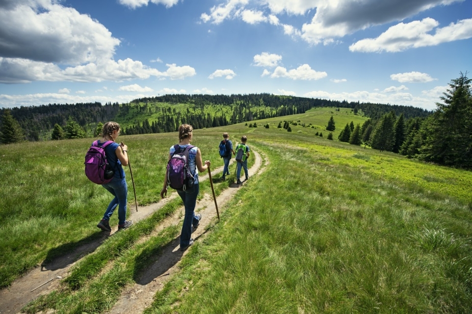 0b8421f3-8074-495e-ae22-79fb30dad868-1765853027