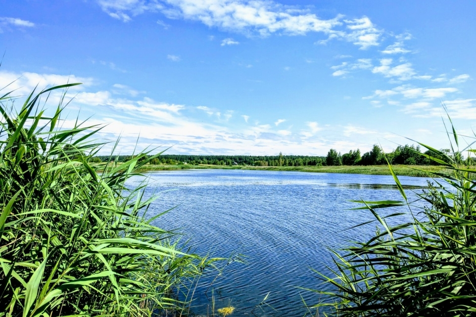 b3c8524f-d3ec-4203-acf7-d1bffd89dce5-1765853147