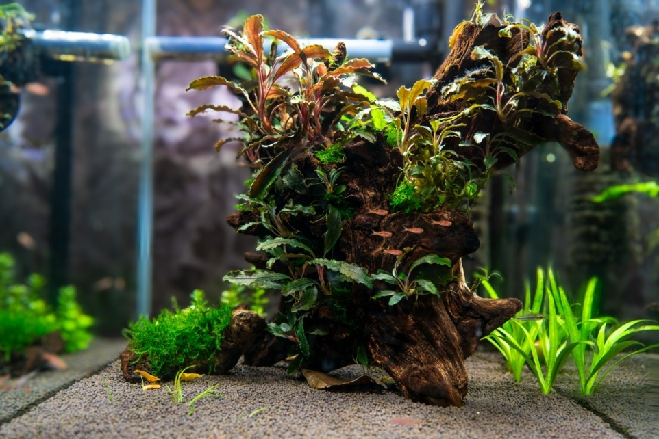 b8f6c844-e22f-4eec-bde2-407489d9908f-1770245357