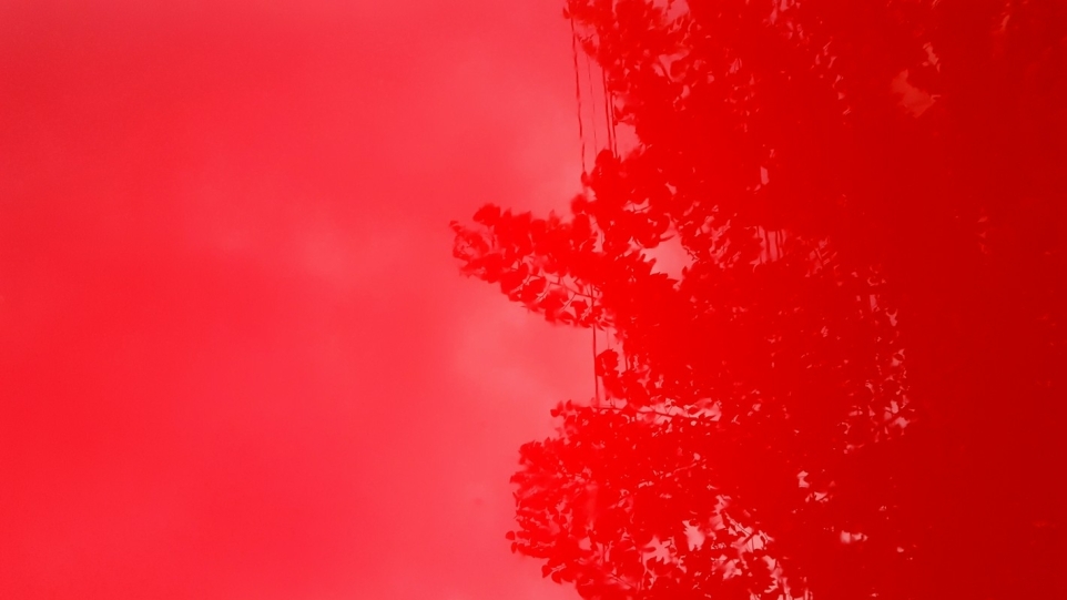 20041ca3-7c0f-4722-ab07-aa2d5469a052-1770245128