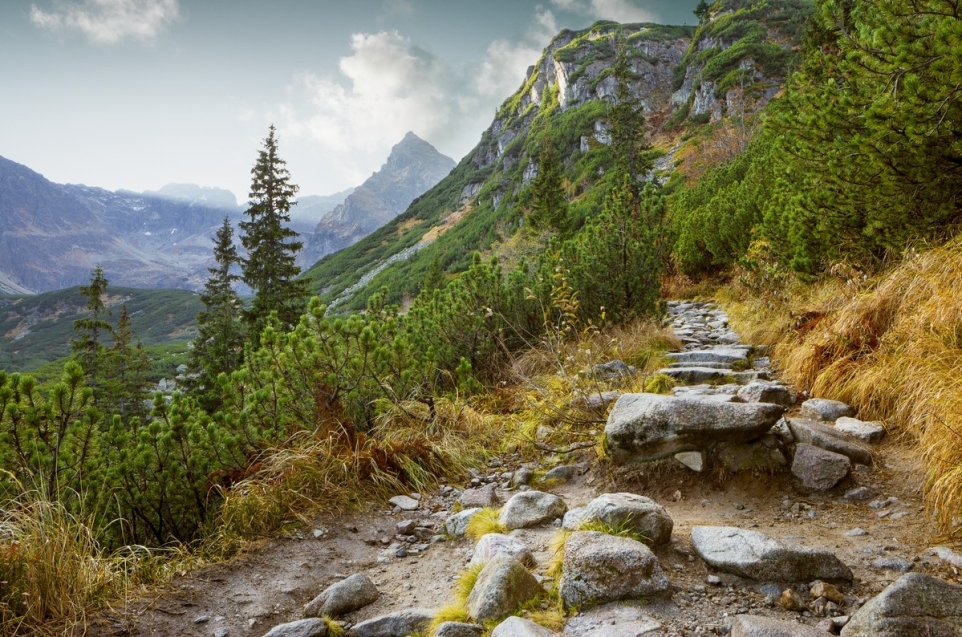 4d00f0db-d48f-4a26-82bd-060aab1bce62-1759125628