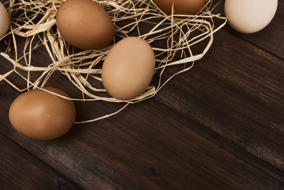 9327a5c0-db23-4f1f-a6f5-12998846e3d4-1765853238