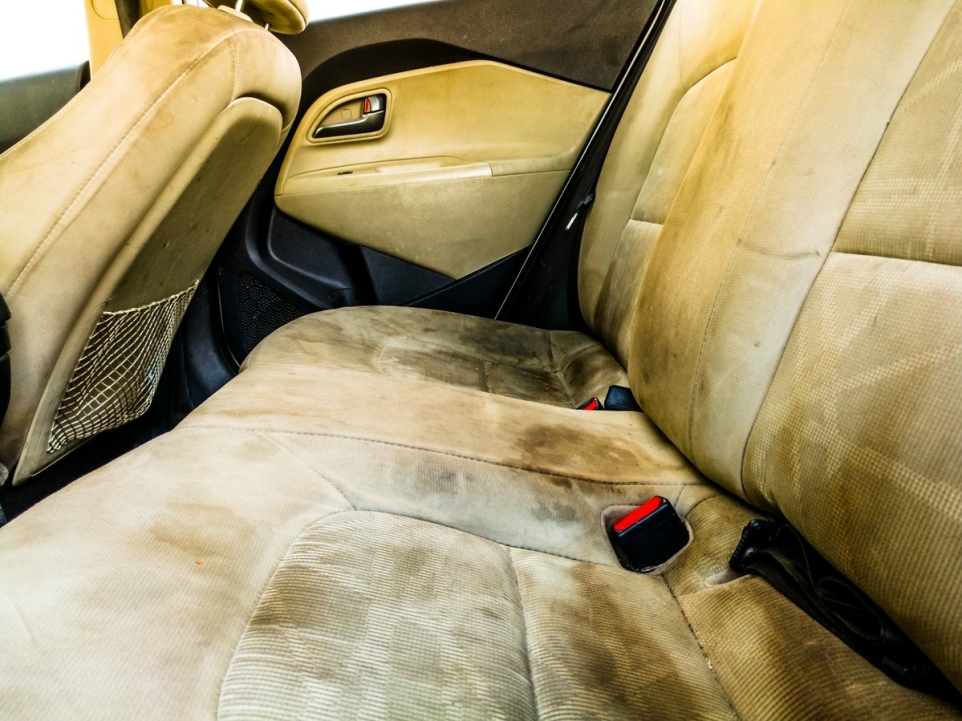 be61562a-3904-407a-b387-a47aae6471da-1764045148