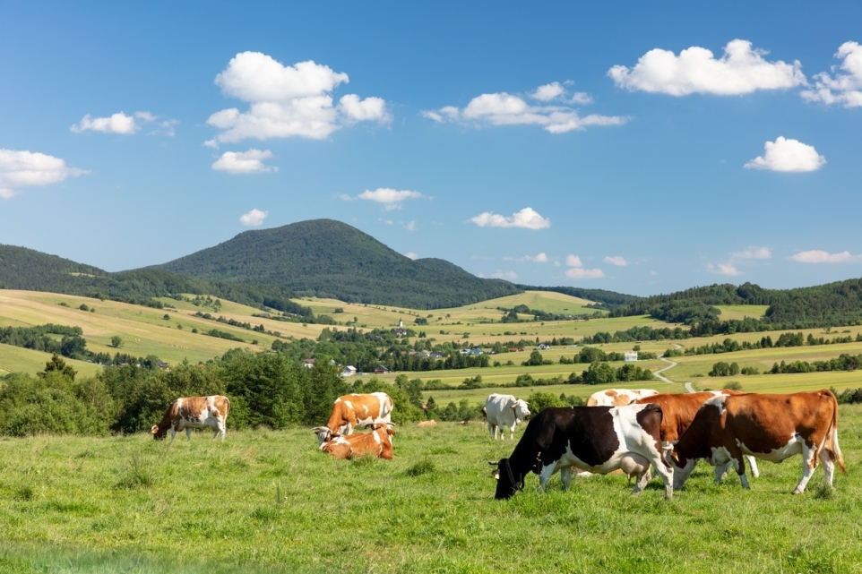 9402fe4b-54b8-45b5-bbfa-cc919d1822f3-1758193058