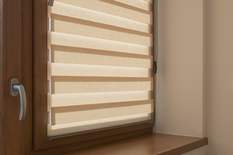 d7381430-7c8b-416e-9409-304ab43d05e2-1763219058