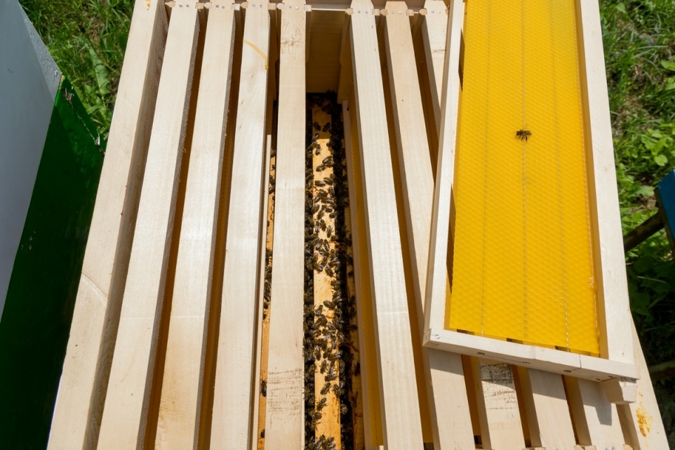 e3eeaee5-2f1a-4902-93ed-4d8c2d47fe11-1770202458