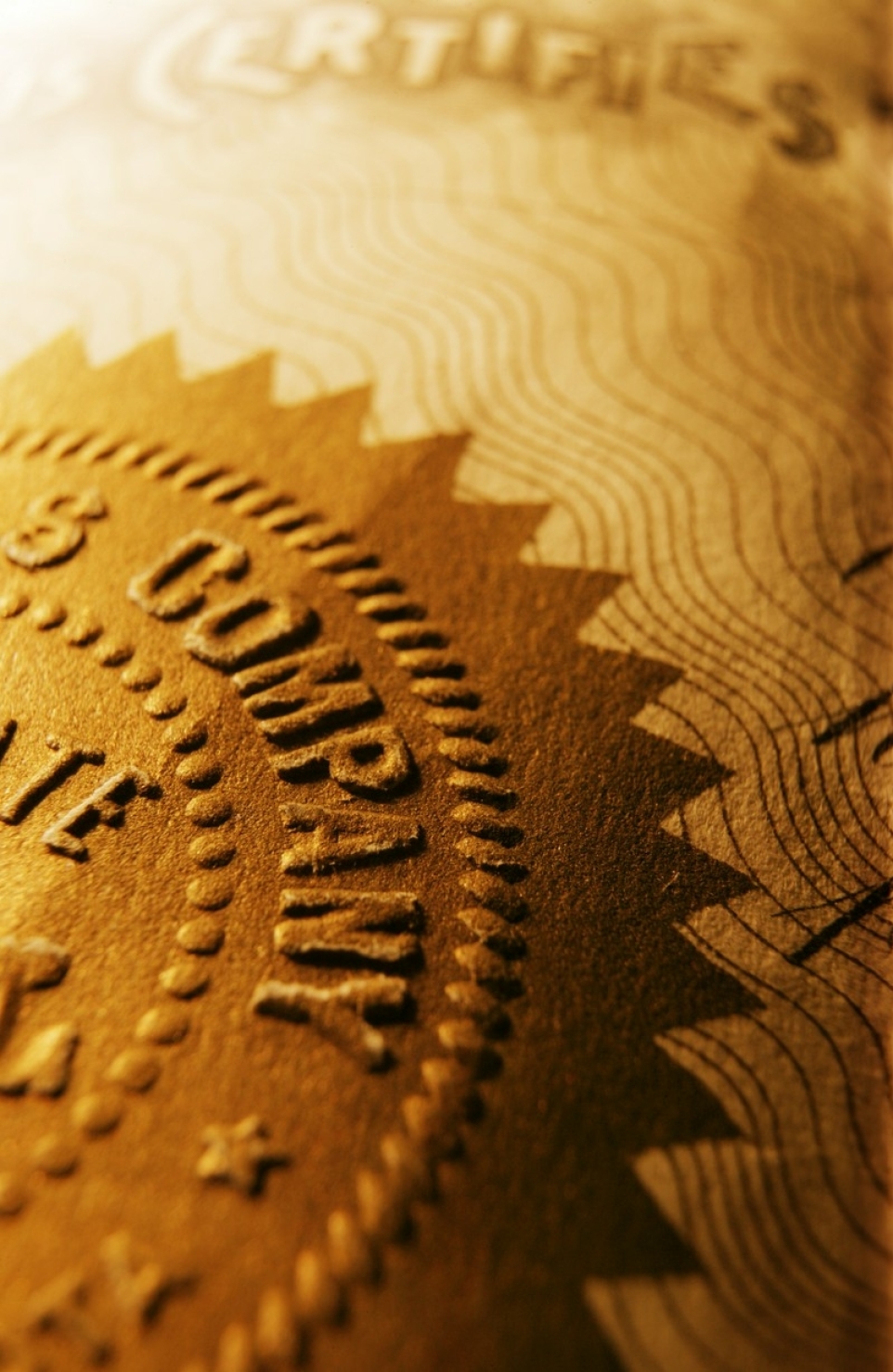 e5f94427-4f85-4c78-852c-7898b61326bf-1770246068