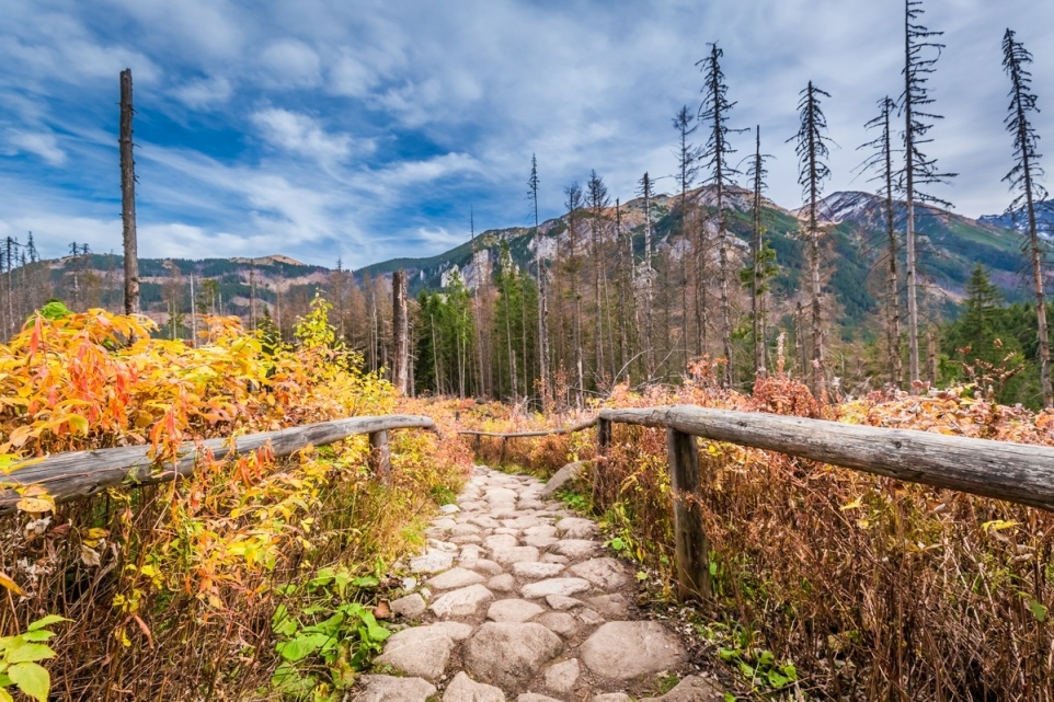 4c771b6f-072a-4eae-97e2-f6212d7c05dd-1759127878