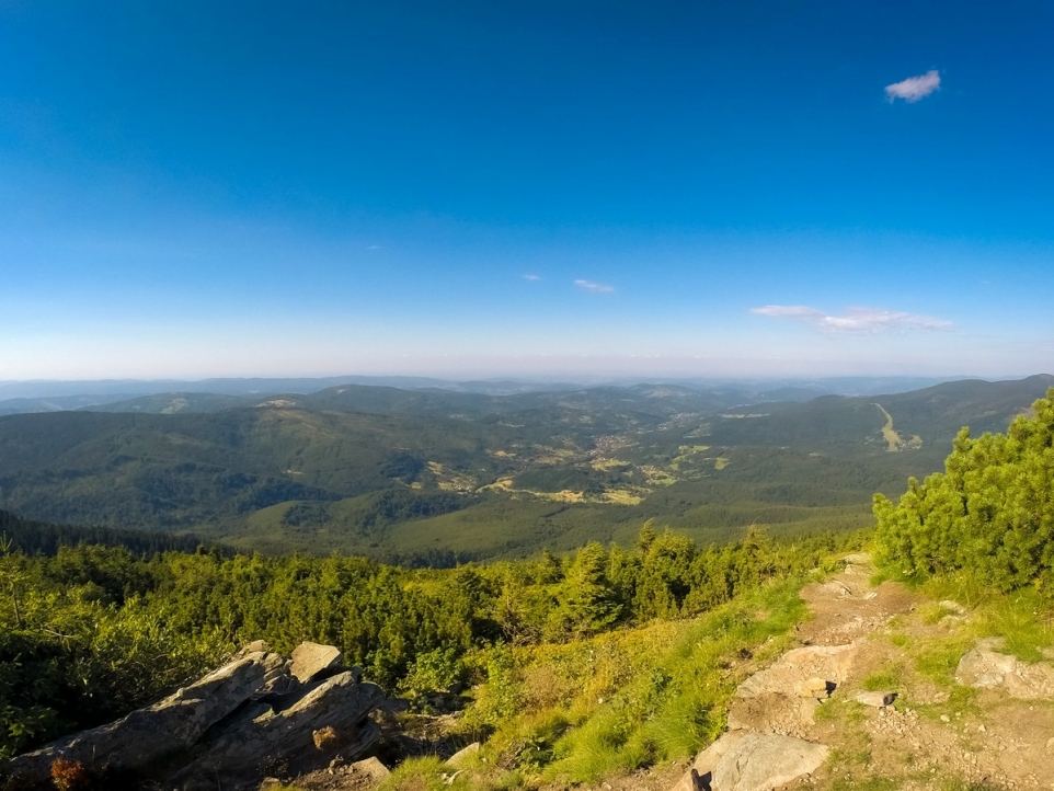 2f1a4521-4b53-4eae-95e1-a4d9ce9823bb-1758197488