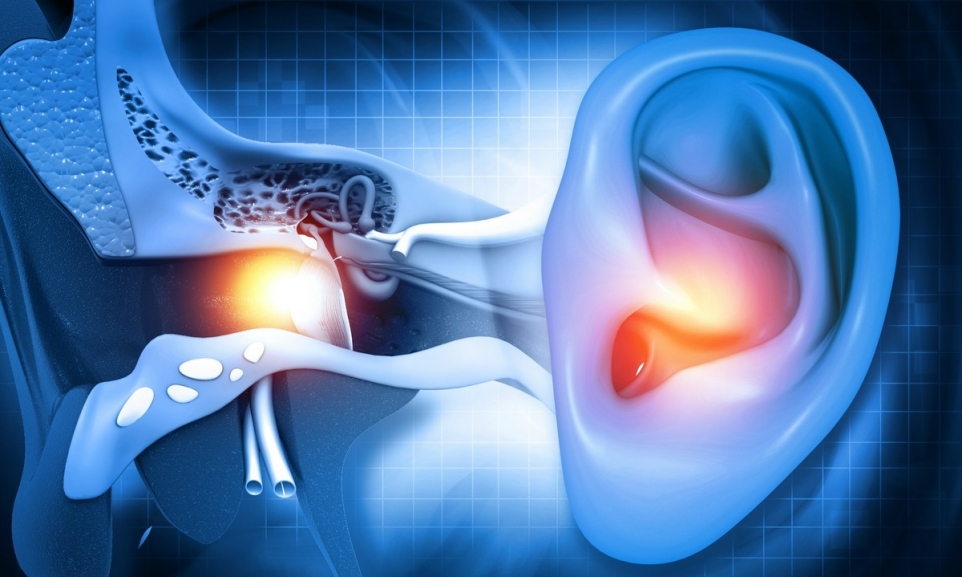 e32868c1-a89f-4fde-84ca-501aa89c6c19-1765853409