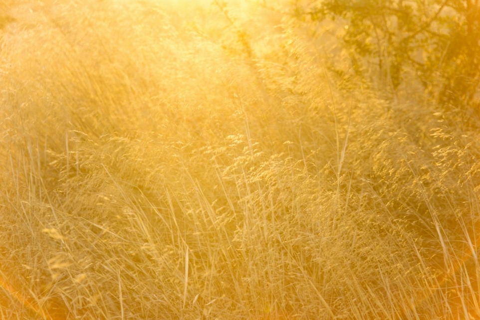 10b0e2d8-cf73-4b5e-8cc6-1d902189bda6-1770244819