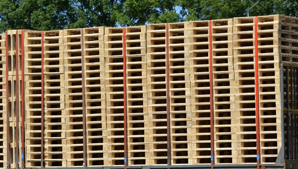 1d39f040-2d84-4a22-be84-1e3c25a8e85d-1770245149