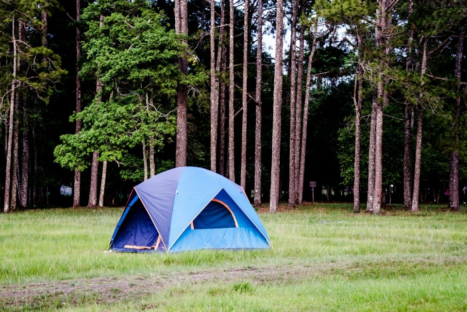 64ce6c36-1458-4ff2-813e-8875f04383d0-1758195259