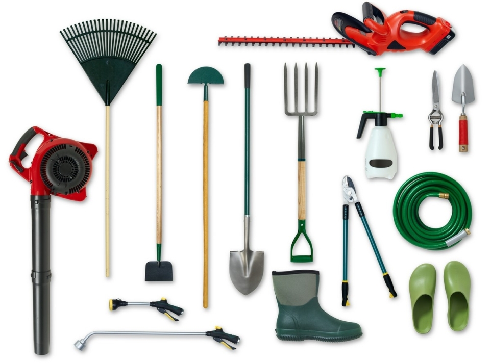 6d7e7ff0-a225-4240-82c2-e16b3c003231-1764045159