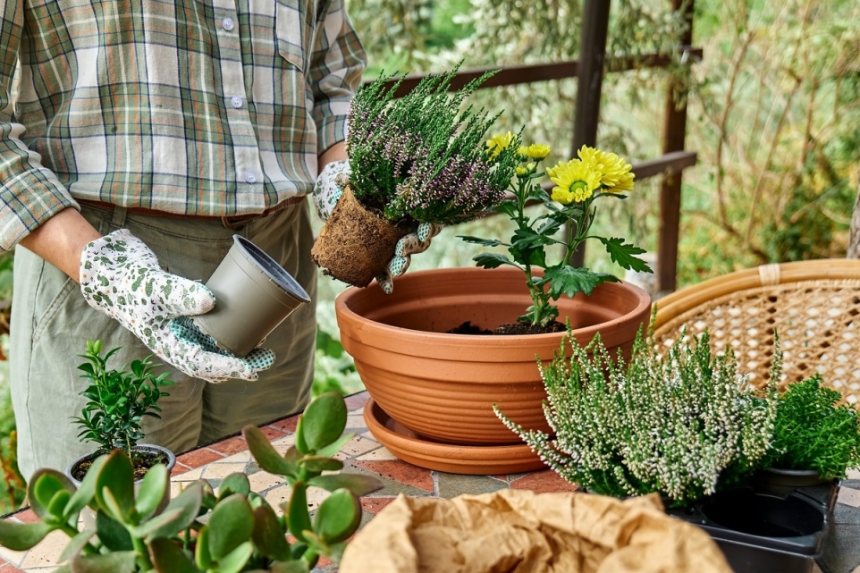 a82c1f44-2de2-4aef-9d31-ff8d582c7c2d-1770220769