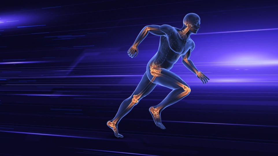 e3239245-9402-4877-9a35-3a5b5d7e783f-1770244799