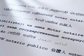 notariusz