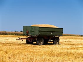 skup zboża. Agro-Jędrek Andrzej Rzeźnik. Paradyż