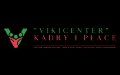 VikiCenter Kadry i Płace