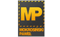 Paweł Mokrosiński Paliki geodezyjne