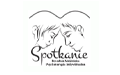 Spotkanie Poradnia Małżeńska i Mediacyjna Joanna Dawidczyk