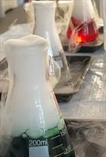 zajęcia edukacyjne dla dzieci