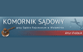 Komornik sądowy przy Sądzie Rejonowym w Wołominie Artur Królasik