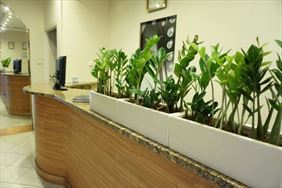 hol. Hotel Mistral s.c.. Marki