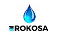Rokosa Roman Ferensztaj
