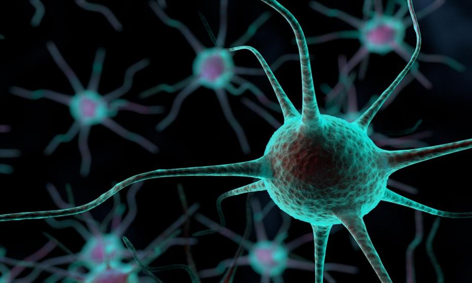 Podstawy neuroterapii Podstawy neuroterapii