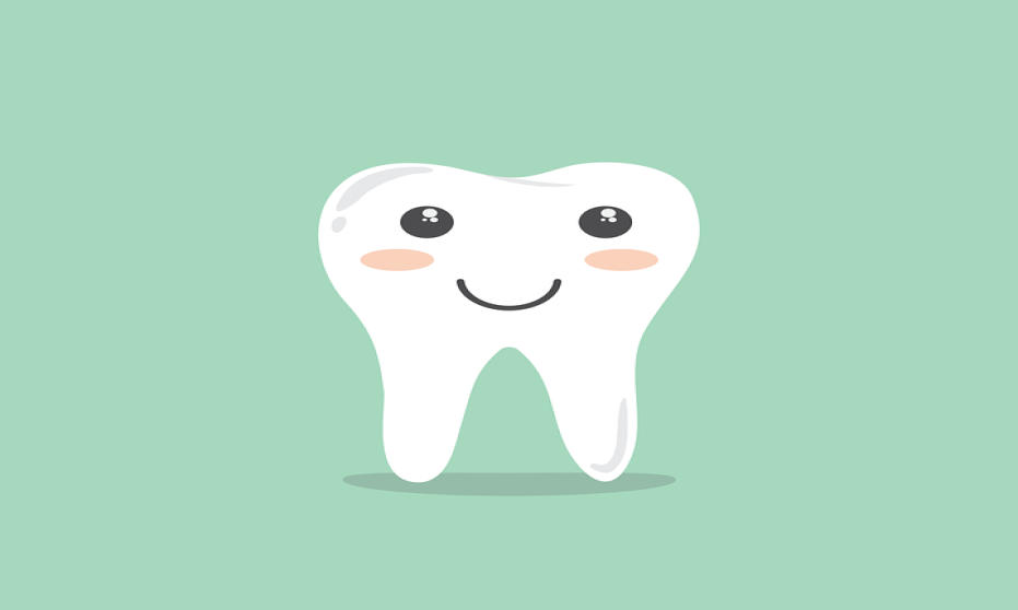 Regularny przegląd zębów u dentysty - warto go wykonywać Regularny przegląd zębów u dentysty - warto go wykonywać