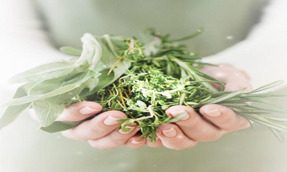 Czy medycyna naturalna jest lepsza od tradycyjnych środków farmakologicznych? Czy medycyna naturalna jest lepsza od tradycyjnych środków farmakologicznych?