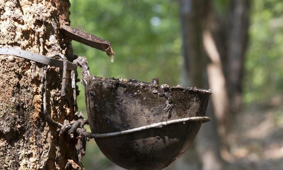 Tworzywo, które zmieniło świat: parę słów o kauczuku