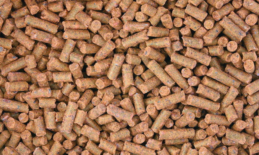 Jak wybrać dobry pellet drzewny? Jak wybrać dobry pellet drzewny?