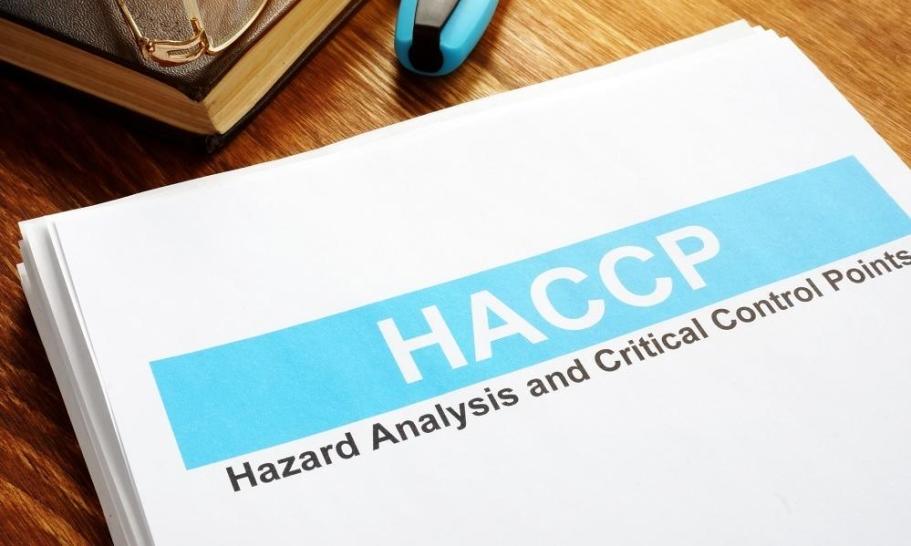 Czym jest system HACCP i jakie są jego główne zasady?