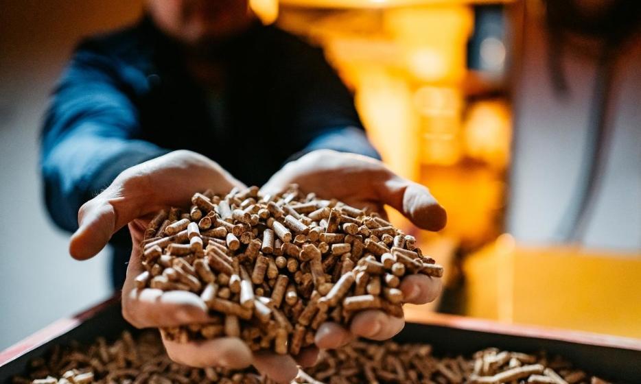 Kocioł na pellet - dlaczego jego popularność stale rośnie? Kocioł na pellet - dlaczego jego popularność stale rośnie?