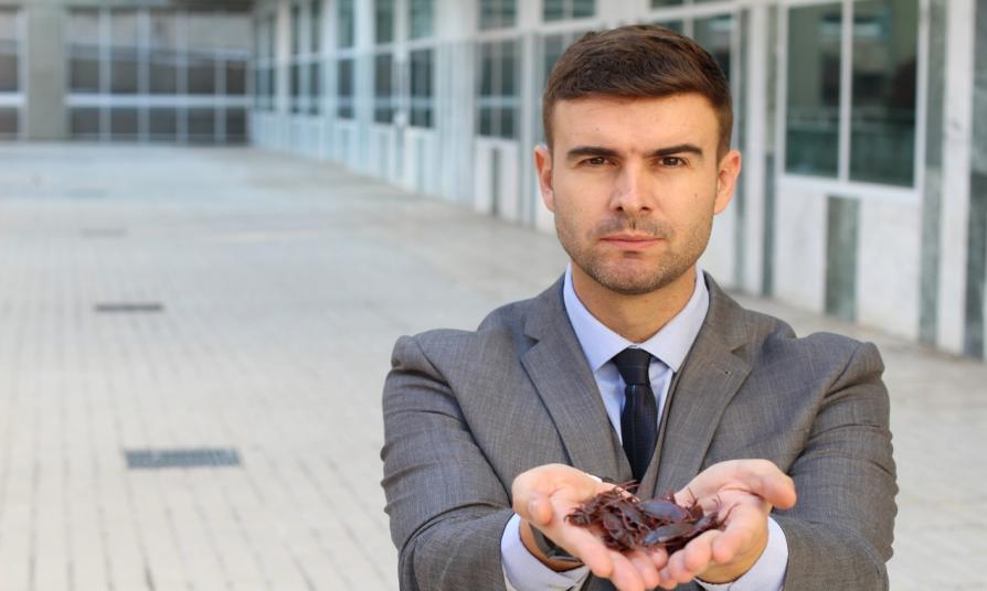 Na czym polega monitoring HACCP? Na czym polega monitoring HACCP?