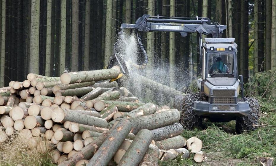 Które części do maszyn leśnych najczęściej się wymienia? Które części do maszyn leśnych najczęściej się wymienia?