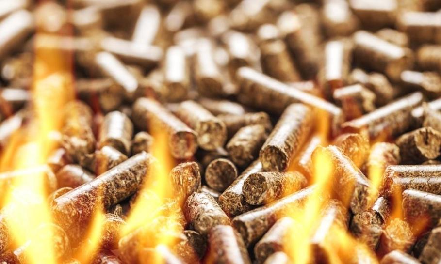Systemy certyfikacji pelletu drzewnego Systemy certyfikacji pelletu drzewnego