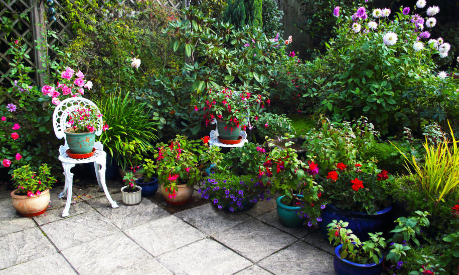 Jak obsadzić taras roślinami?