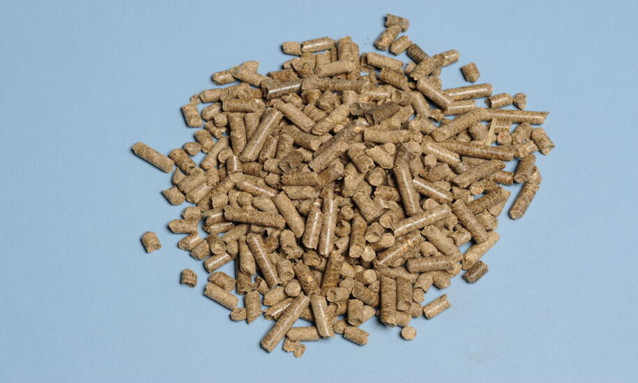Jak działają kotły na pellet i biomasę? Jak działają kotły na pellet i biomasę?