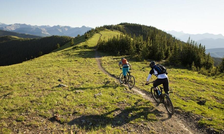 Rowery górskie i turystyczne – podobieństwa i różnice