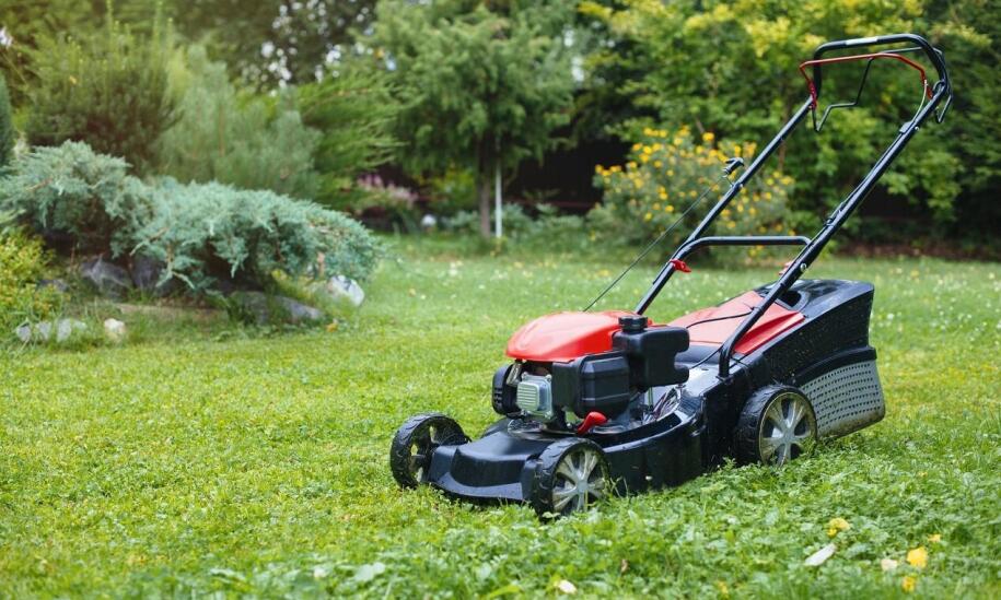 Top 10 urządzeń i akcesoriów ułatwiających gospodarowanie zielenią