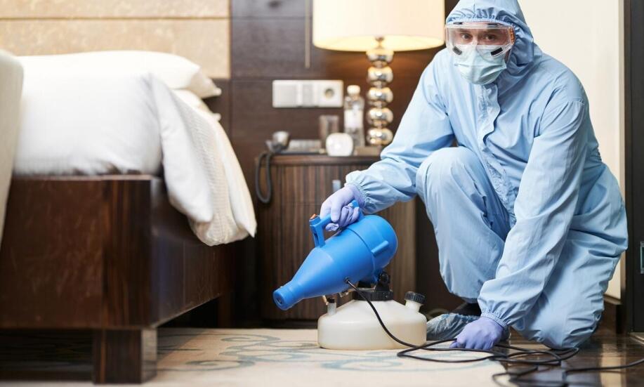 Dlaczego warto zdecydować się na ozonowanie dywanu?