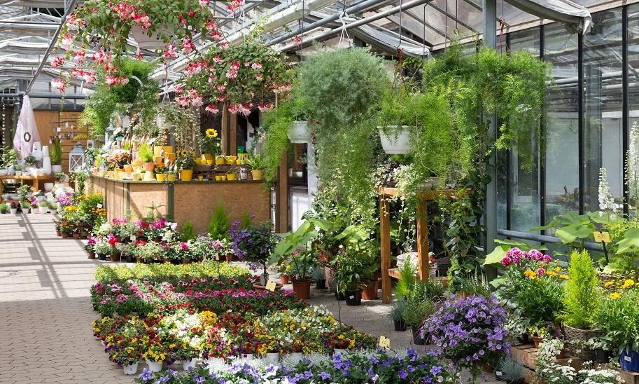 Co można znaleźć w centrum ogrodniczym?